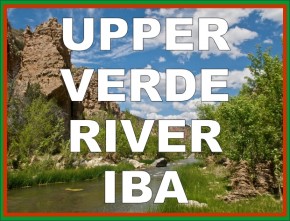 Upper IBA