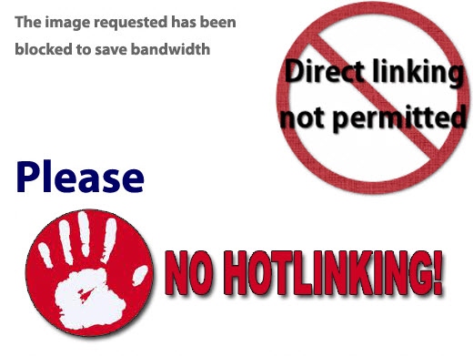 No Hotlinking