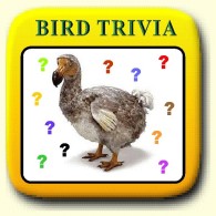 C Trivia