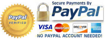 Secure Payments by Paypal