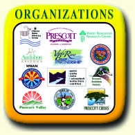 W Organizations