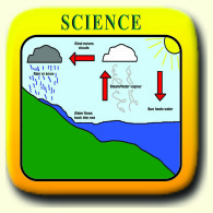 W Science