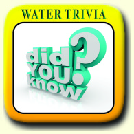 W Trivia